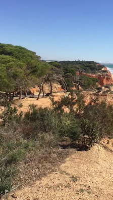 Beach Caffé in Albufeira, Algarve — photo 4 of 12