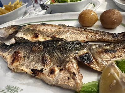 News in Vilamoura, Algarve — photo 10 of 12