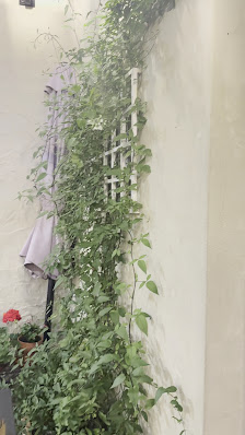 Bottega & Cucina in Almancil, Algarve — photo 7 of 9