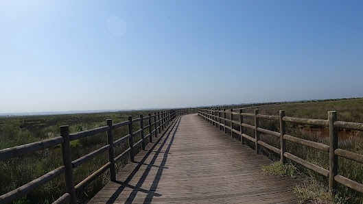 Bioria Estarreja in Salreu, Norte — photo 4 of 5