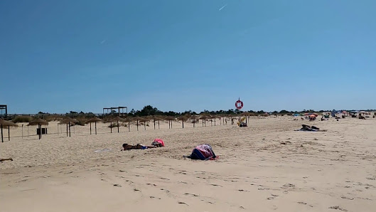 Praia Monte Gordo (Coelho) in Monte Gordo, Algarve — photo 4 of 4