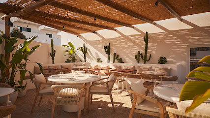 Tribü - Brunch & Bistro