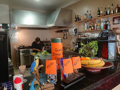 The Blue Parrot in Monte Gordo, Algarve — photo 6 of 12