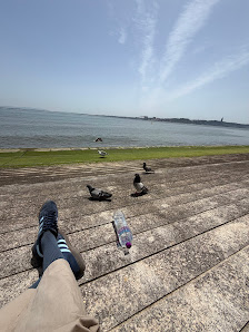 Antiga Doca Seca da Ribeira das Naus in Lisboa, Centro — photo 3 of 5