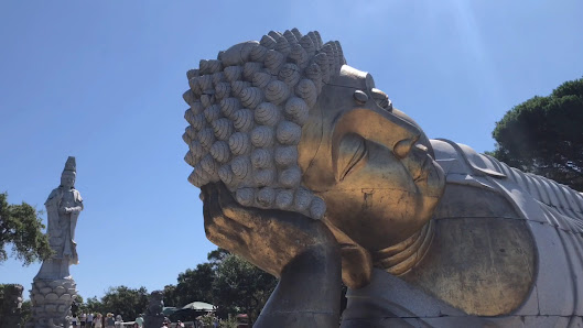 Buddha Eden in Algarve, Centro — photo 6 of 9