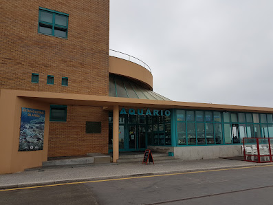 Estação Litoral da Aguda in Arcozelo, Norte — photo 2 of 6