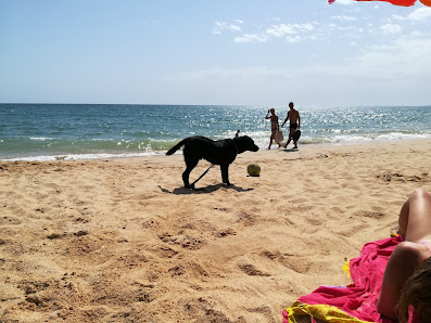 Praia de Loulé Velho in Quarteira, Algarve — photo 6 of 8
