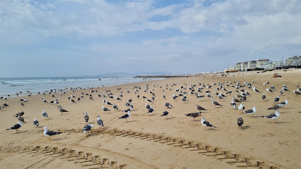 Nova Praia — Beach in Algarve, Centro, Portugal — photos, reviews and opening hours