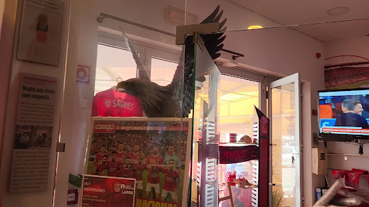 Casa Benfica in Lagos, Algarve — photo 4 of 7