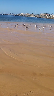 Praia da Conceição in Cascais, Centro — photo 4 of 4