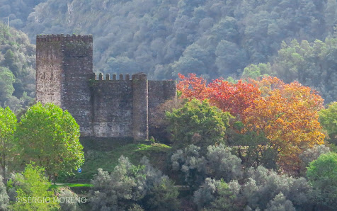 Castle of Lousã in Algarve, Norte — photo 2 of 6