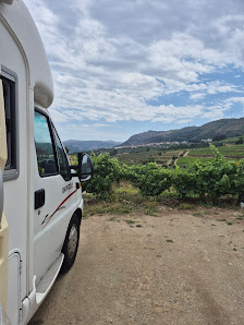 Quinta do Monte Travesso in Barcos, Norte — photo 3 of 7