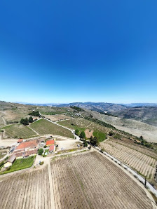 Quinta do Monte Travesso in Barcos, Norte — photo 7 of 7