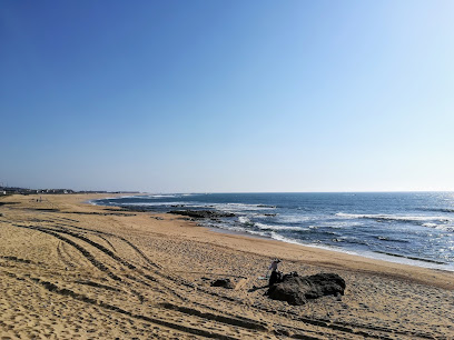 Praia Angeiras Sul — Attraction in Lavra, Norte, Portugal — photos, reviews and opening hours